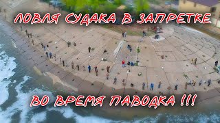 Все о рыбалке на волге волгоград