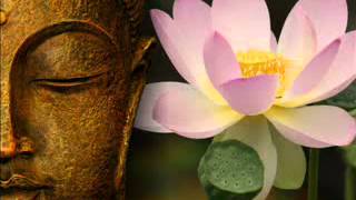 James Asher   Lotus Path 1/3