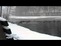 Relaxing Jazz Music Instrumental Music MUSIC COMPOSING ARRANGEMENT MIXING FIKADU JAZZ