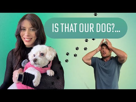 My dad brought home the wrong dog...