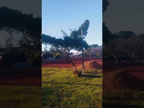 Distrito de Novo Paraná, Porto dos Gaúchos-MT