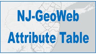 20. NJ GeoWeb Attribute Table