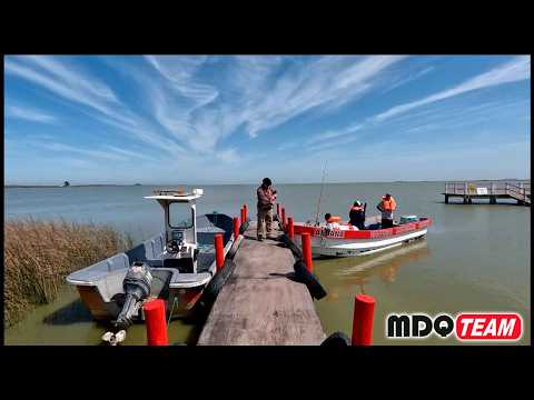 ENORMES PECES ATACAN NUESTRAS LINEAS EN SUPERFICIE