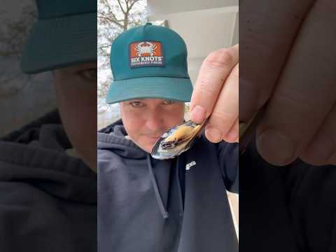 Mussels, Clams, Scallops, and Oysters