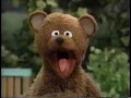 Sesame Street Episode 3540 Sesame Street Full Episodes HD