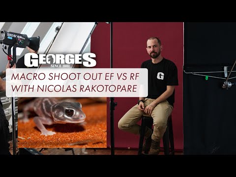 Best macro for Canon!? RF 100mm vs EF 100mm Macro comparison