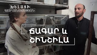 Խելացի գյուղատնտեսություն. Նապաստակ և շինշիլա