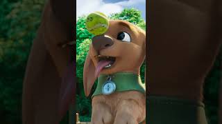 Download lagu The Best Puppy! | Jungle Beat: Munki and Trunk | Kids Cartoon 2023 #shorts mp3