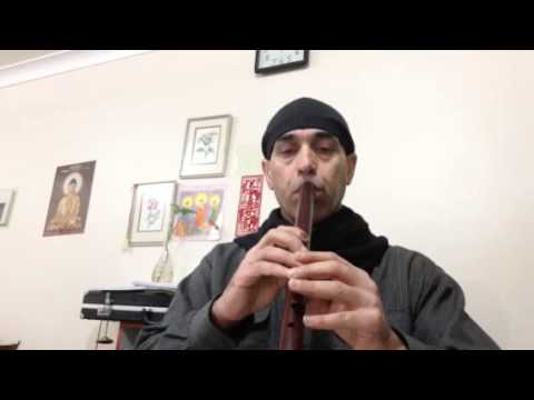 Fadeel Kayat dingo فاضل الخياط