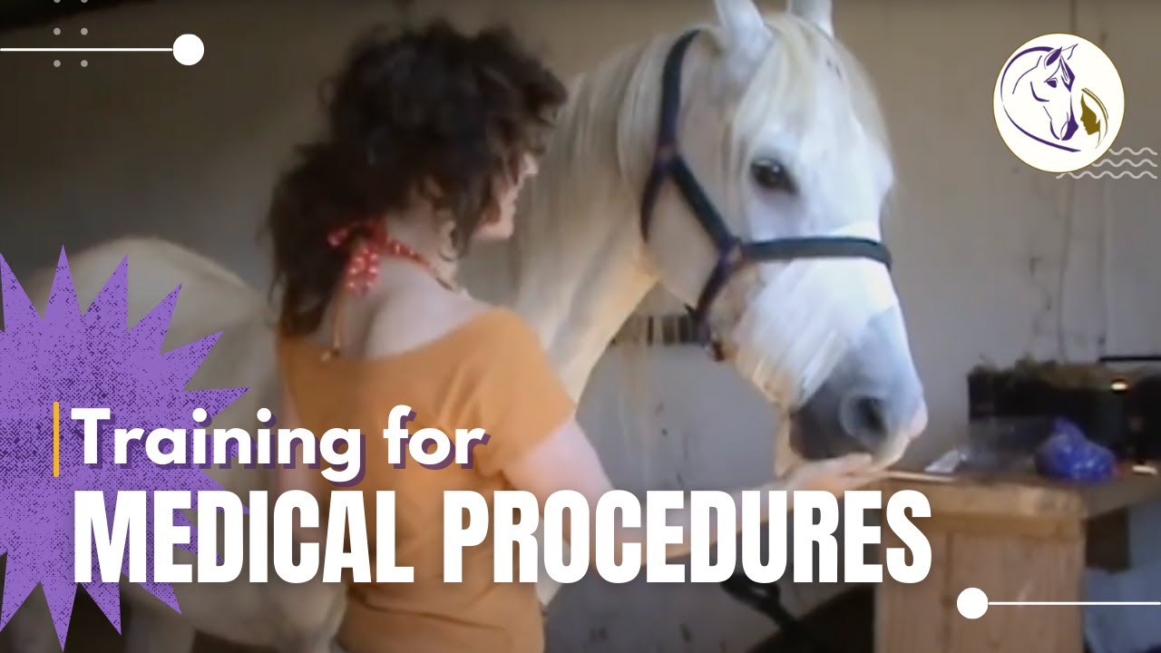 Training For Medical Procedures