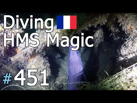 HMS Magic [+1944], Normandy 🇫🇷 (#451)