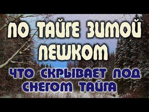 БУШКРАФТ. ЗИМА СНЕГ ТАЙГА ЗИМОЙ  Передвижение по снегу в тайге. Что скрывает снег...
