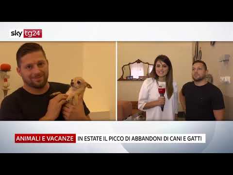 Intervista su Sky TG24