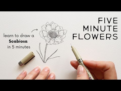 Five Minute Flowers | PIN CUSHION ✿ Learn to draw flowers with ink!