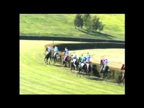 7 Dostih-Cena HIPODROMU MOST (Rovina - handicap - III - 1600 m)