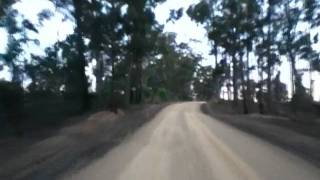 preview picture of video 'Batemans Bay Rally 2011 in car SS5 Bob Jane Hyundai Excel Crazy Dave Roberts/Paul Mallos'