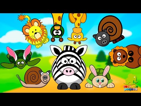 El carnaval de los animales - Cuentos de Carnaval - Cuentos infantiles