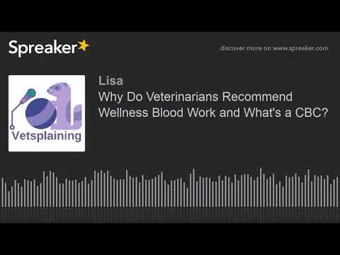 Why Do Veterinarians Recommend Wellness Blood Work and What's a CBC? (part 1 of 3)