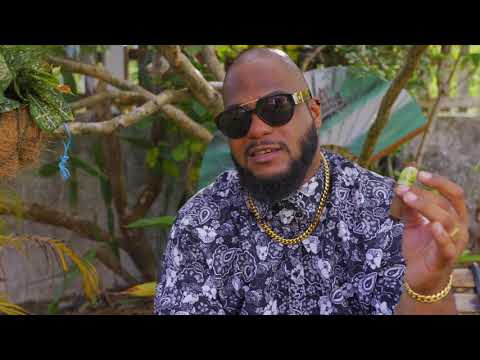 2Mxch - Cigar & Maroon Freestyle (Clip Officiel)