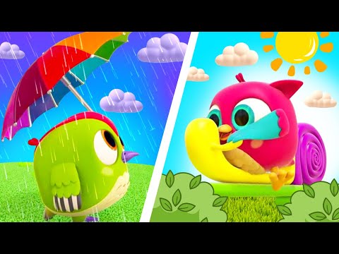 Dry & Wet song for kids! Baby songs & nursery rhymes with Hop Hop the Owl. Owl cartoons & kids songs
