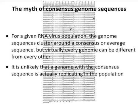 Virology 2013 Lecture #22 - Evolution