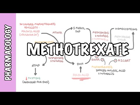 Méthotrexate - Pharmacologie (csDMARD, mécanisme d'action, effets secondaires)