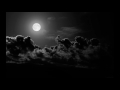 mephisto walz -Nightingale HD