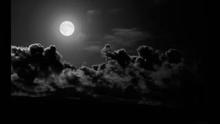 mephisto walz -Nightingale HD