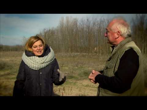 Gasztroangyal 3. rész – Batáta (2013)