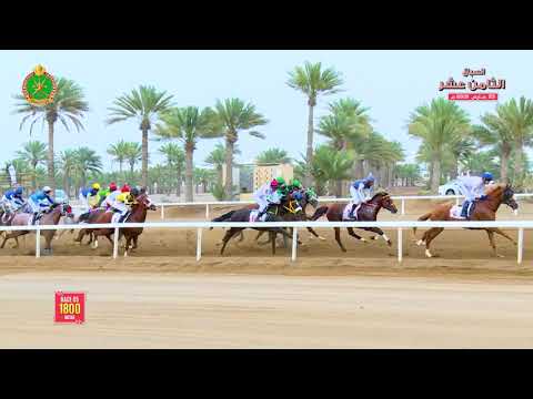 الشوط الخامس - السباق الثامن عشر- الرحبة 23/03/2019 Race 5-18th meeting