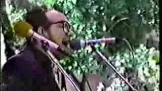 Veronica - Elvis Costello