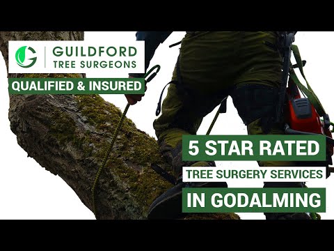 Guildford Tree Surgeons video.
