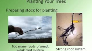 Learn About Your Land - Plant Trees with Success