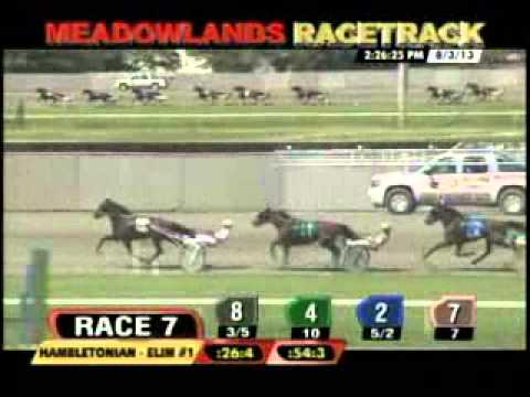 Hambletonian Elimination 2013 -Royalty for Life