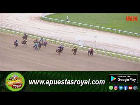 𝐋𝐀 𝐁𝐀𝐓𝐀𝐋𝐋𝐀𝐃𝐎𝐑𝐀 - 𝟏𝟏𝐯𝐚 𝐂𝐚𝐫𝐫𝐞𝐫𝐚 𝐇𝐢𝐩𝐨𝐝𝐫𝐨𝐦𝐨 𝐋𝐚 𝐑𝐢𝐧𝐜𝐨𝐧𝐚𝐝𝐚 - 𝐑𝟐𝟒, 𝟐𝟓/𝟎𝟔/𝟐𝟎𝟐𝟑