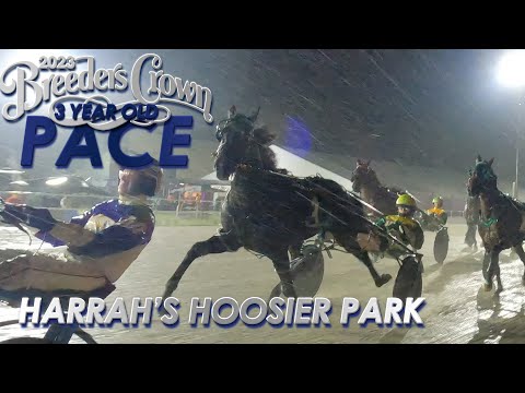 2023 Breeders Crown - Confederate - 3CP