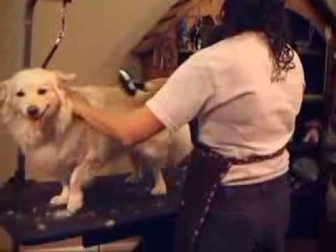 ConairPro for Pets - How to groom your pet