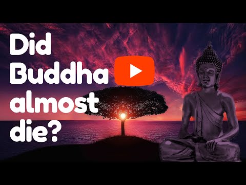 Buddha almost killed himself|Relating to suicide from a Buddhist Perspective|Did Buddha almost die?