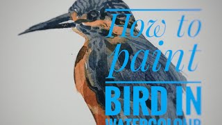 preview picture of video 'Watercolor bird painting'
