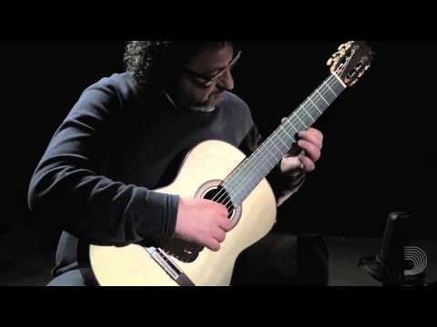 D'Addario: Classical Guitar Performance by Aniello Desiderio