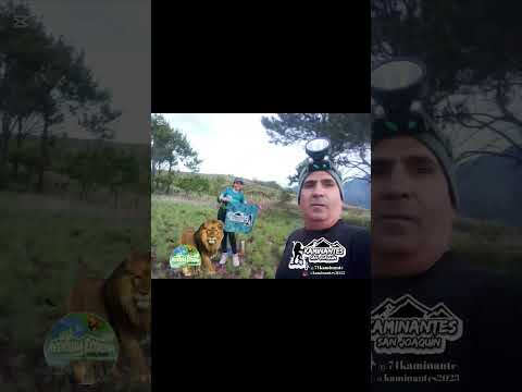 caminata al cerro la cruz llegada hasta los pinos san Joaquín de Carabobo