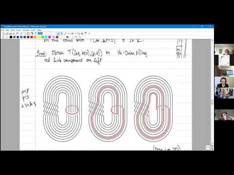 Satellites and Lorenz knots - Jessica Purcell - Monash University, Australia