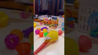 Download lagu Cute conure parrot#Dia♥️🐧 mp3