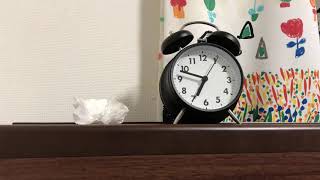 ある朝の日常