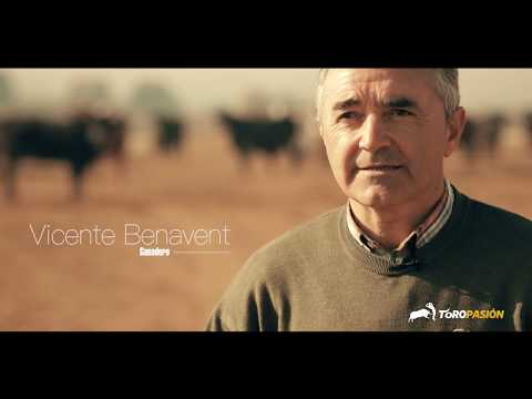 Pintora de Benavent en La Vaca del Millón - Fallas 2019