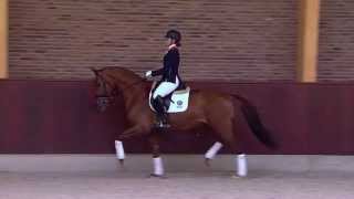 Habana Libre A : la relève des sœurs Barbançon, 5 ème des 6 ans à Ermelo