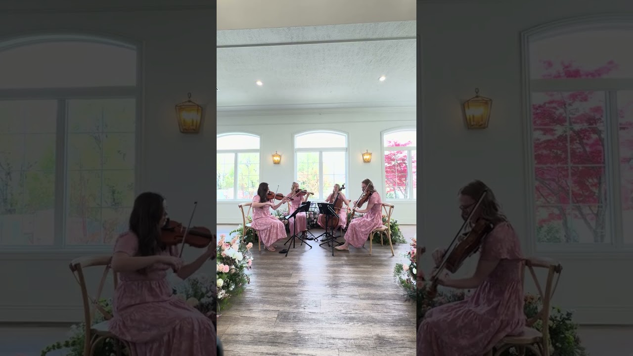 Promotional video thumbnail 4 for Souvenir Strings