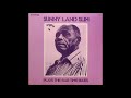 Sunny Land Slim - Plays The Rag Time Blues