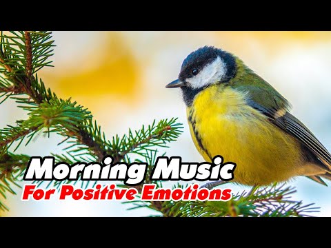 TOKYO Cafe: Beautiful Relaxing Jazz Piano Music for Stress Relief - Night Coffee Shop Ambience