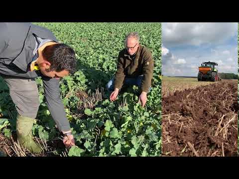 Rapeseed experts from the field - visiting Thinus Glitz in East Westphalia, Part 1